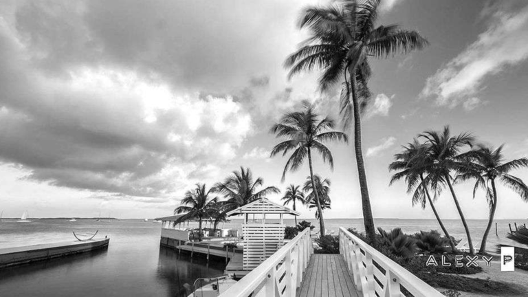 palm trees and a white gangway leading to a dock at Casa Morada Inn on Islamorada Florida